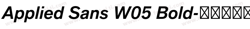 Applied Sans W05 Bold字体转换